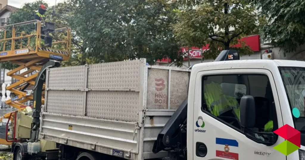 Noticias Astillero Astillero avanza en los trabajos de poda mantenimiento del arbolado urbano