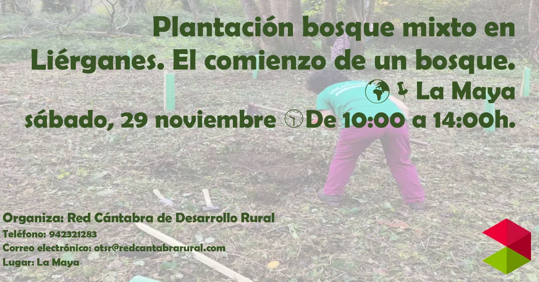 Noticias Liérganes Voluntariado Ambiental en Liérganes: Nace un Nuevo Bosque