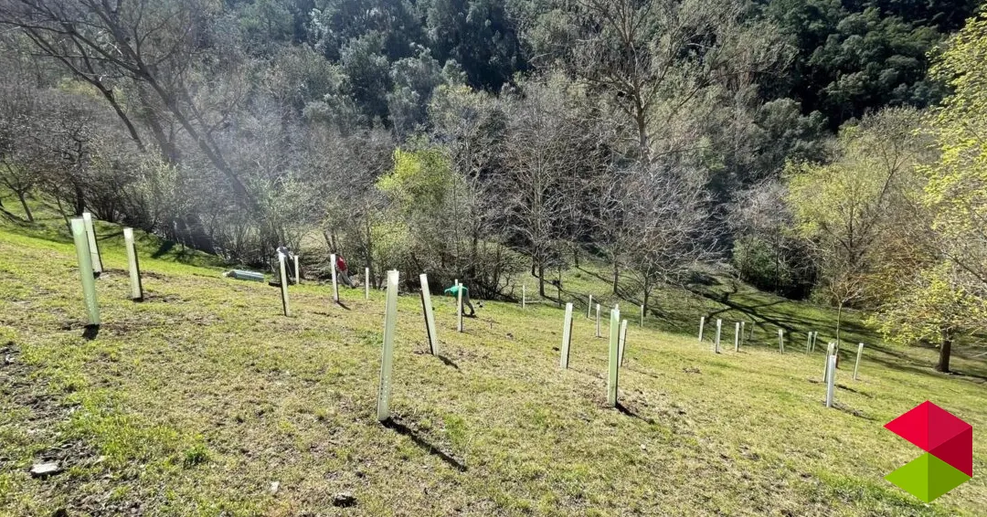 Eventos en Cantabria 1ª Plantación de frutales para el oso