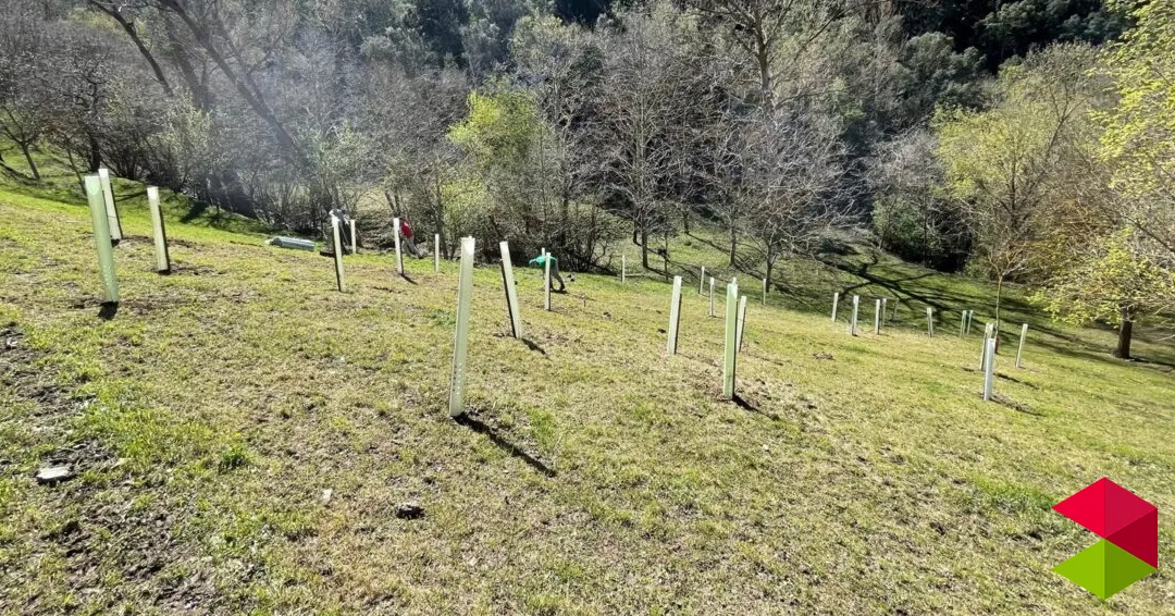Eventos Cantabria 2ª Plantación de frutales para el oso