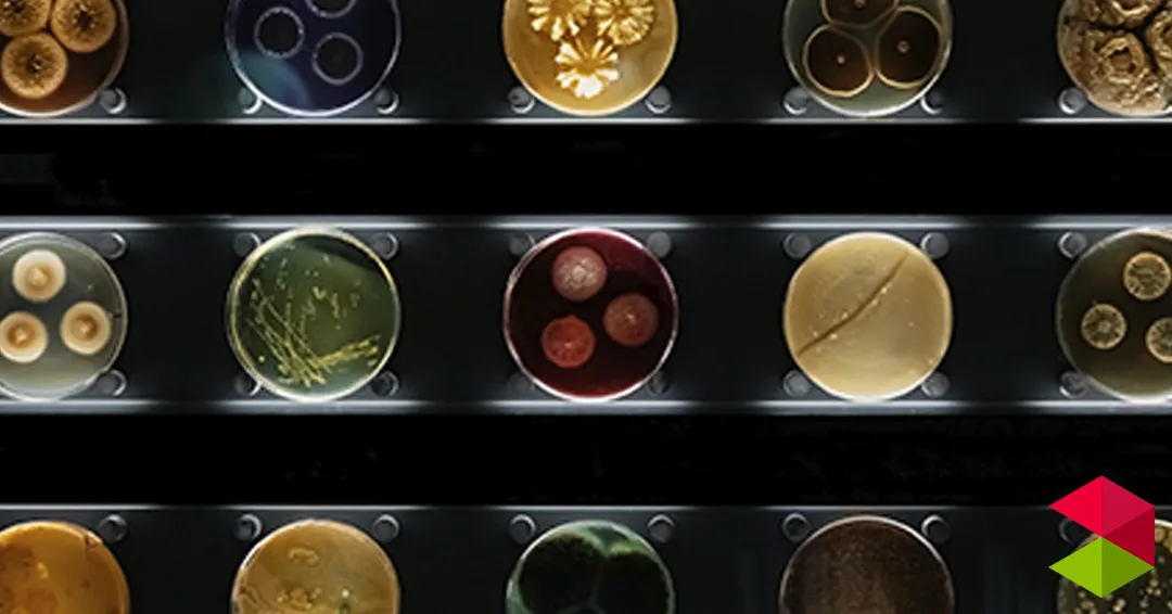 Eventos Santander Biotecnología para todo(s): Células enfadadas, proteínas pegadas y otras cosas que ver con un espectrómetro de masas