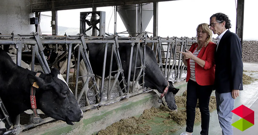 El Gobierno de Cantabria abona más de 2,1 millones de euros en ayudas al bienestar y sanidad animal al sector bovino