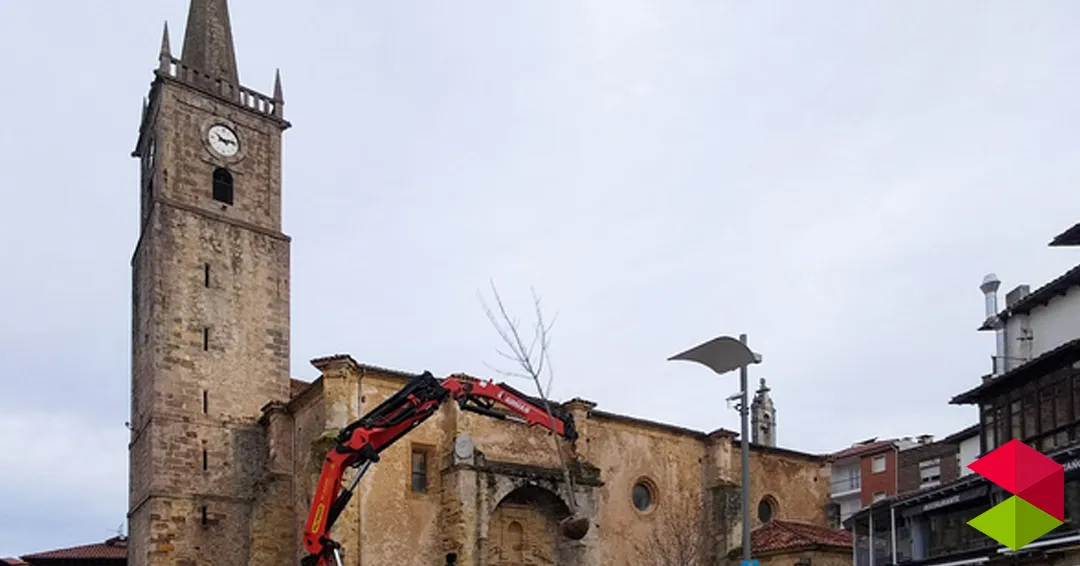 Comillas culmina la plantación de los castaños en la plaza del Corro Campíos siguiendo criterios técnicos
