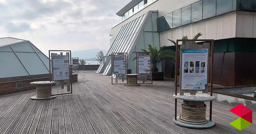 El Museo Marítimo acoge una exposición sobre Biodiversidad del Ministerio de Transición Ecológica y el Reto Demográfico
