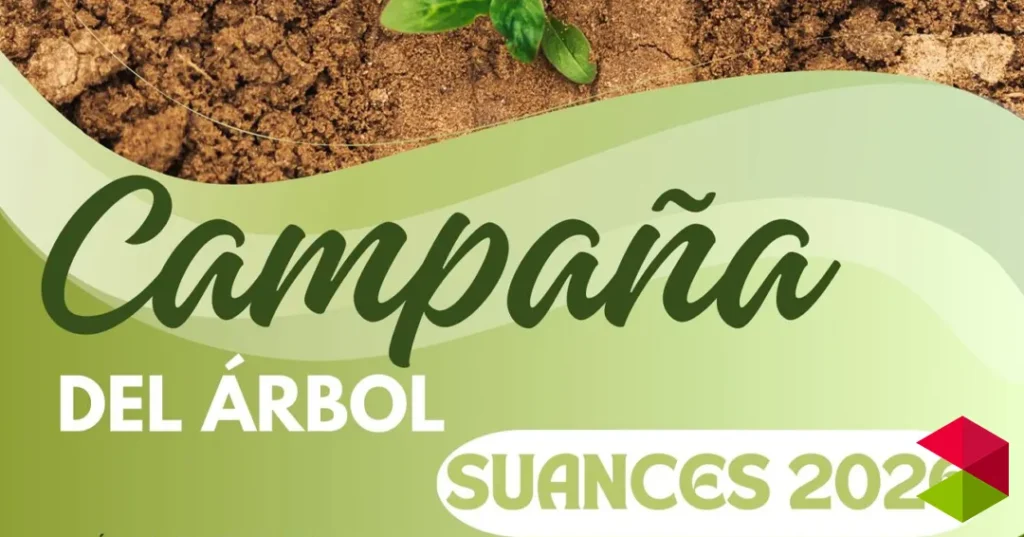 Noticias Suances Suances lanza la Campaña del Árbol 2026 para fomentar la sostenibilidad y el medio ambiente