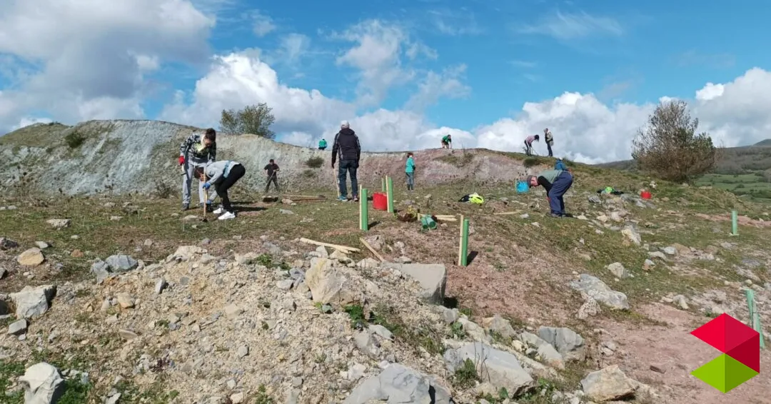 Eventos Cantabria Mantenimiento y refuerzo de la plantación en Cañeda