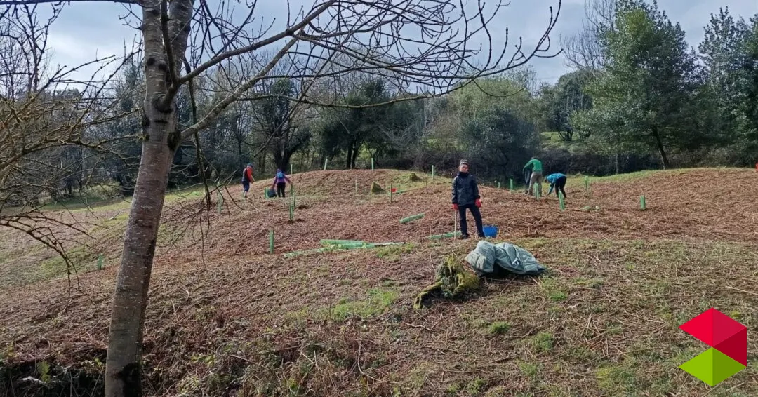 Eventos Rasines Un bosque de futuro para la Cueva del Valle