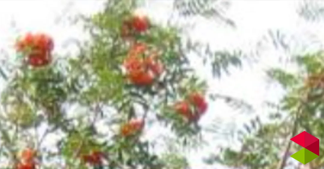 Eventos Piélagos Cuentacuentos temática natural