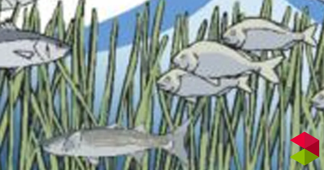 Eventos Santander NatureWatch Bahía de Santander 2026