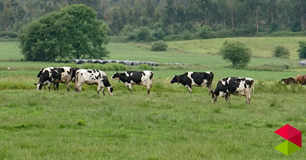 Noticias Cantabria El Gobierno destaca el papel de Agroseguro como herramienta clave para la protección del sector primario