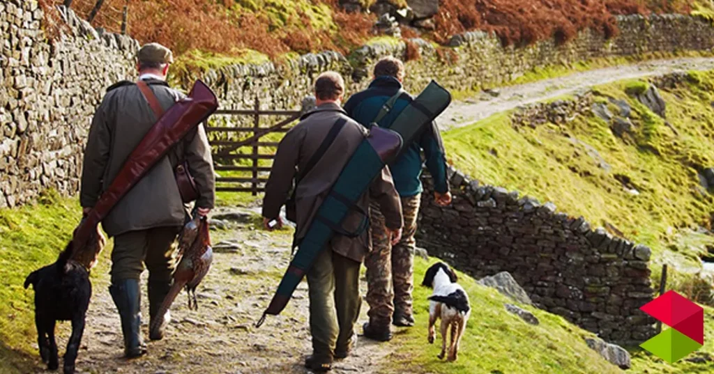 Noticias Corrales de Bulena El Gobierno de Cantabria confirma un caso de enfermedad de Aujeszky en un perro que había participado en una montería en Los Corrales de Buelna