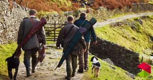 Noticias Corrales de Bulena El Gobierno de Cantabria confirma un caso de enfermedad de Aujeszky en un perro que había participado en una montería en Los Corrales de Buelna