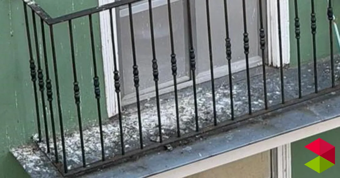 El PRC de Santander pide un “plan de control efectivo” de palomas y la limpieza inmediata de los excrementos