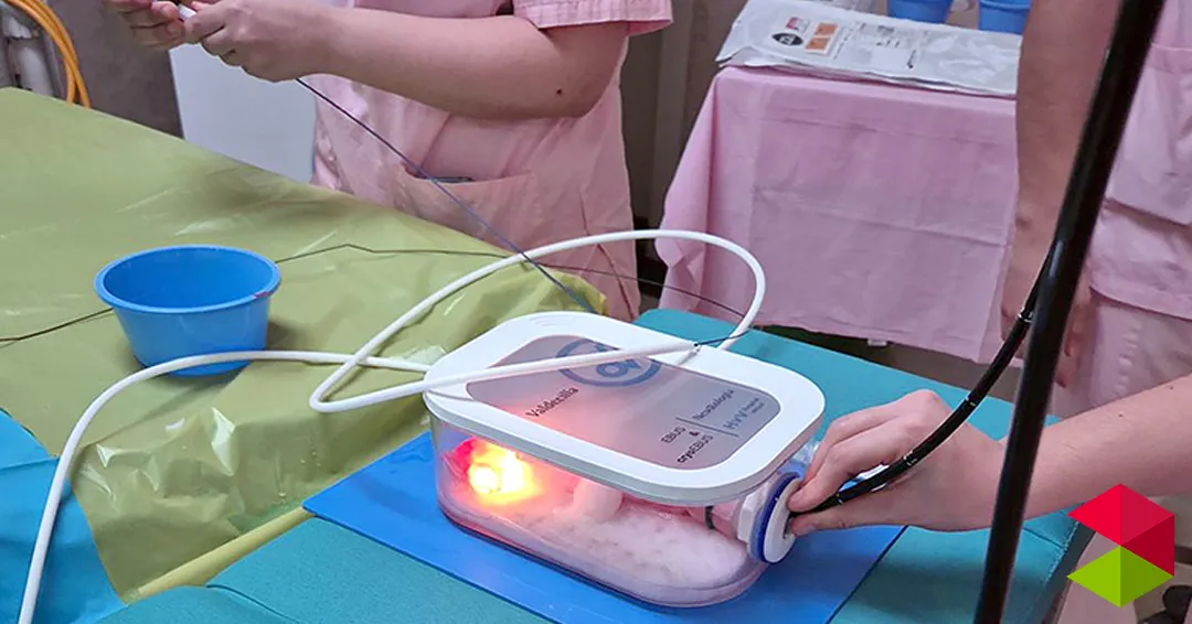 El Hospital Virtual Valdecilla diseña un simulador neumológico para mejorar los diagnósticos en cáncer de pulmón, sarcoidosis o linfomas
