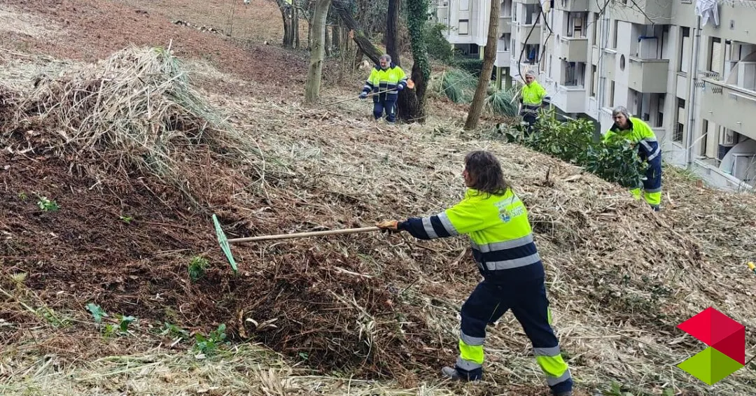 Noticias Suances El Proyecto Experiencial Suances Verde V impulsa la recuperación ambiental de la Ladera del Monte