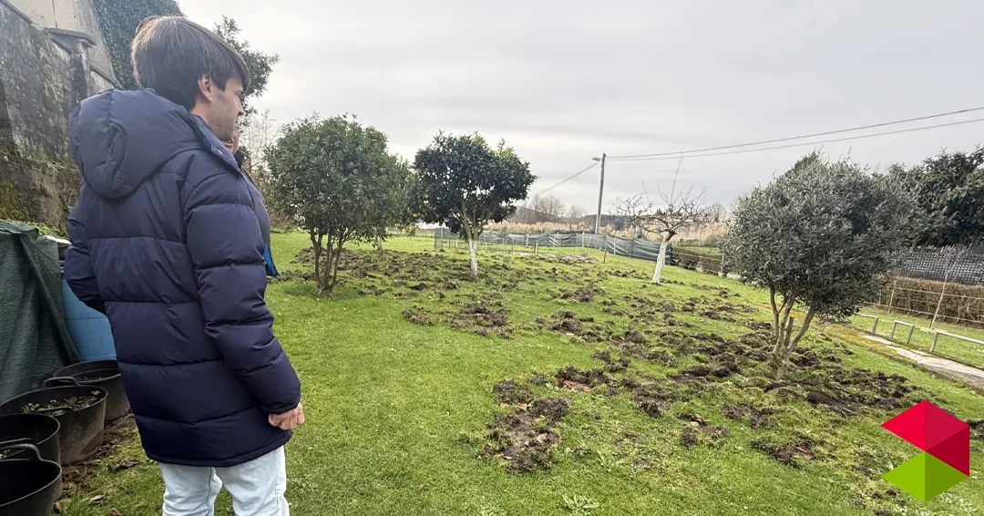 Torrelavega exige al Gobierno una actuación urgente ante la proliferación de jabalíes en Torres, Duález y Caseríos
