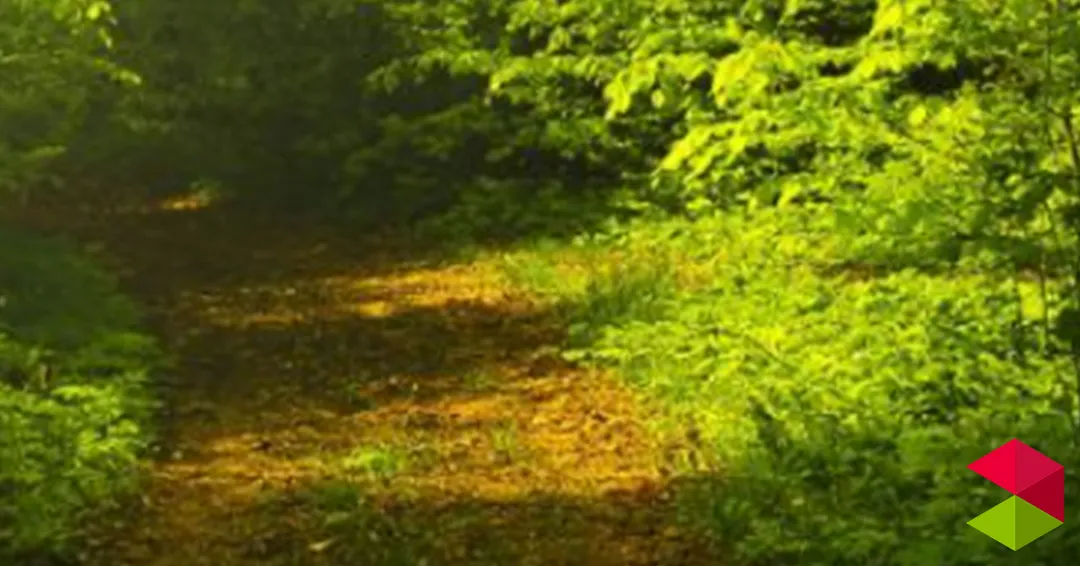 Eventos Cantabria 5º encuentro meditación soleada Solórzano