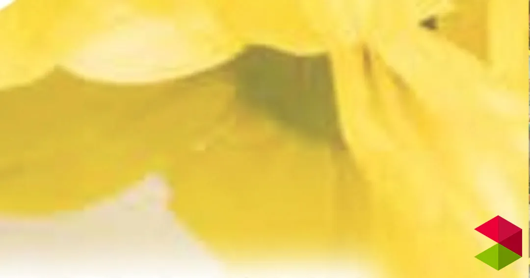 Eventos Cantabria Bebecuentos | De la cuna a la luna en Bezana