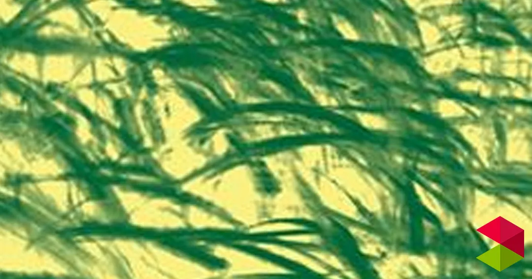 Eventos Cantabria Exposición | Alverde de Arancha Goyeneche