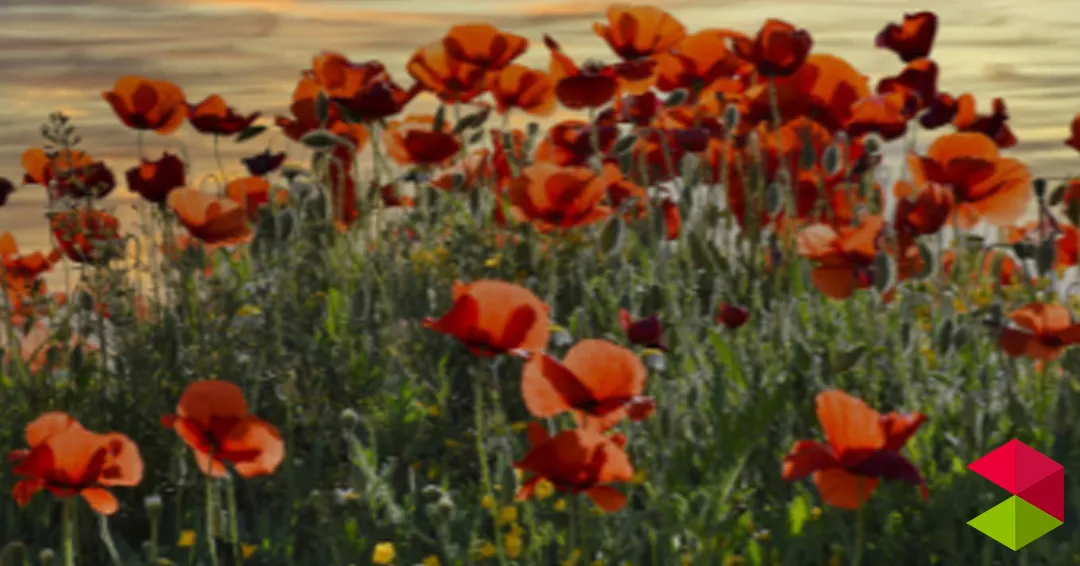 Eventos Cantabria Exposición Interpretamos lo que vemos