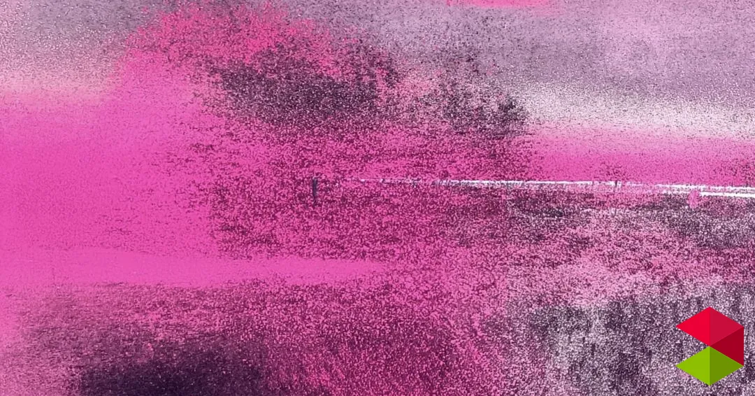 Eventos Cantabria Exposición Revelaciones 2026