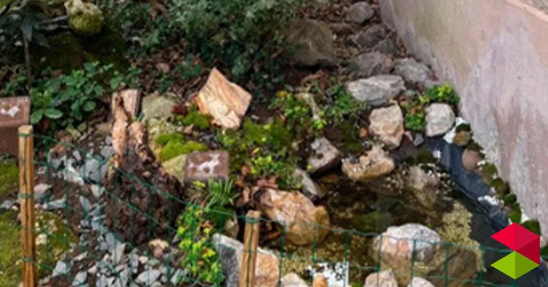 Eventos Cantabria Inauguración de las Nuevas Charcas del Jardín “Pequeñas aguas, grandes ecosistemas”