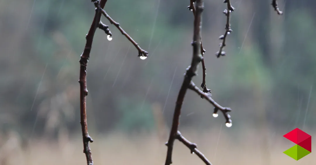 Eventos Cantabria Miren Agur Meabe presenta Los regresos