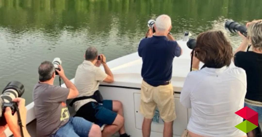Eventos Cantabria Ruta en barco | Águila pescadora en la Ría de Cubas