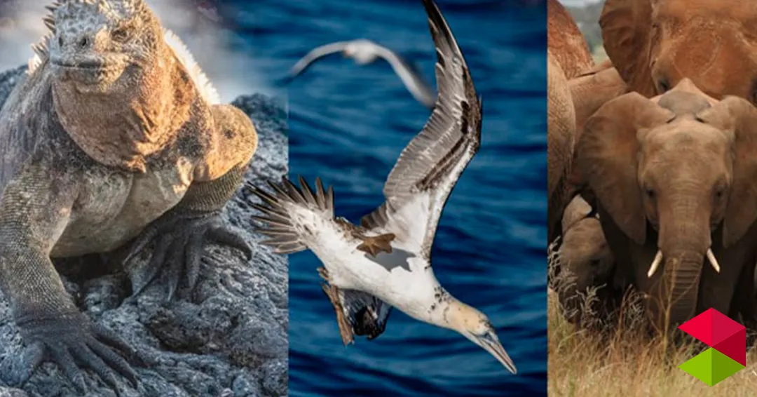 Eventos Cantabria Workshop de iniciación a la fotografía de la naturaleza