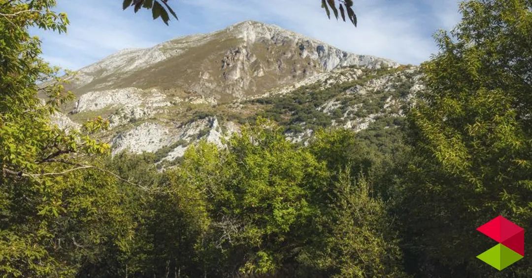 Eventos en Cantabria Construcción de cajas nido en Pendes 2026