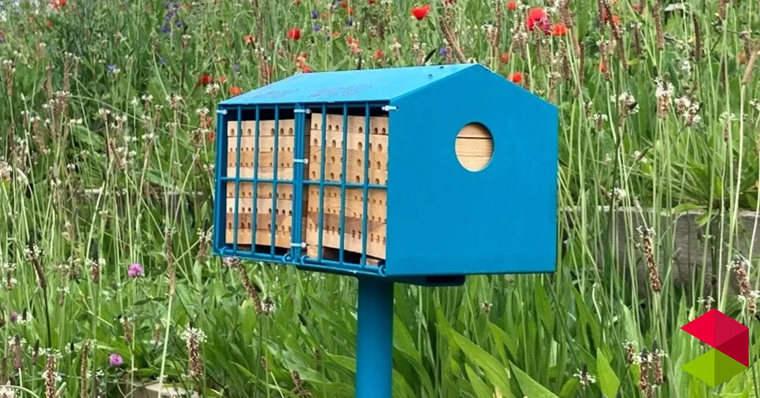 Eventos En Cantabria Construcción y colocación hoteles insectos Mogro 2026