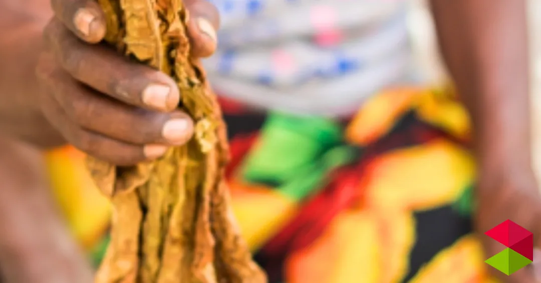 Eventos Santander Inauguración de la exposición fotográfica “Resiliencia”