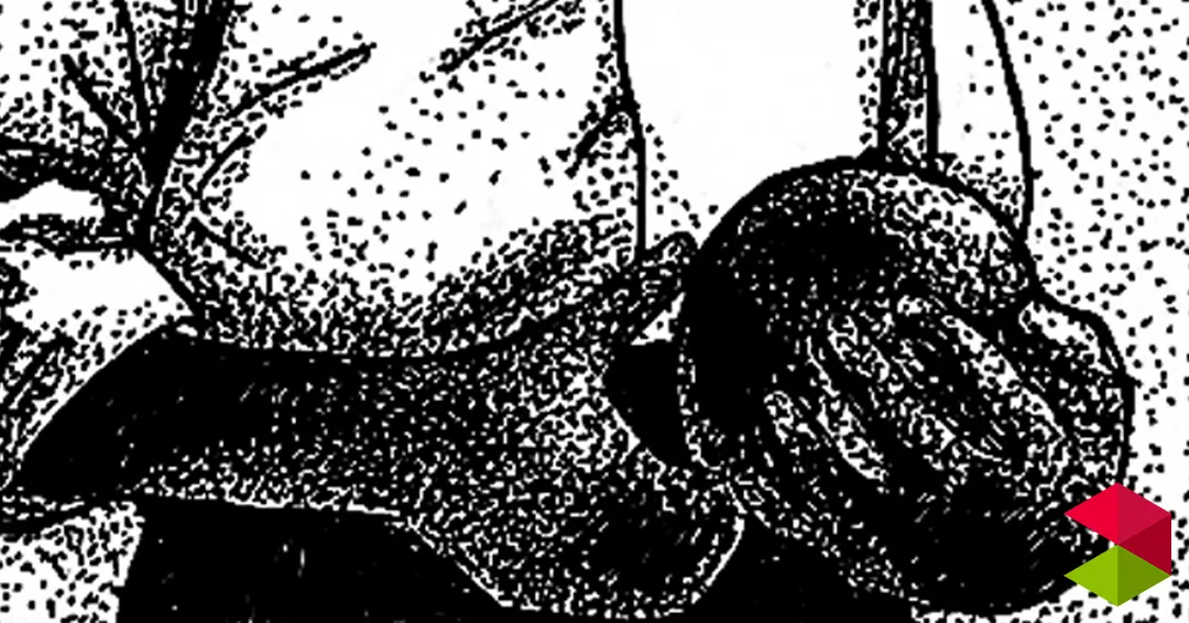 Eventos Cantabria Concierto Lost Legion y Collaps Santander 2026