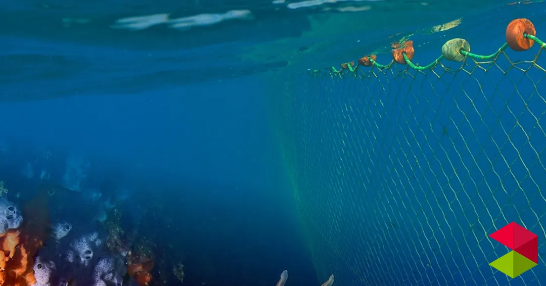 Eventos Santander Proyección del documental Cabo Tiñoso: Tradición y Futuro