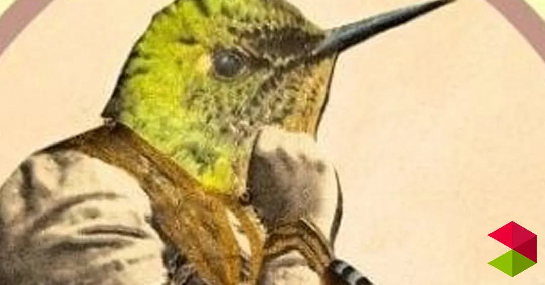 Eventos Santander Taller de poesía comentada | Una voz y su eco con Gema Martínez