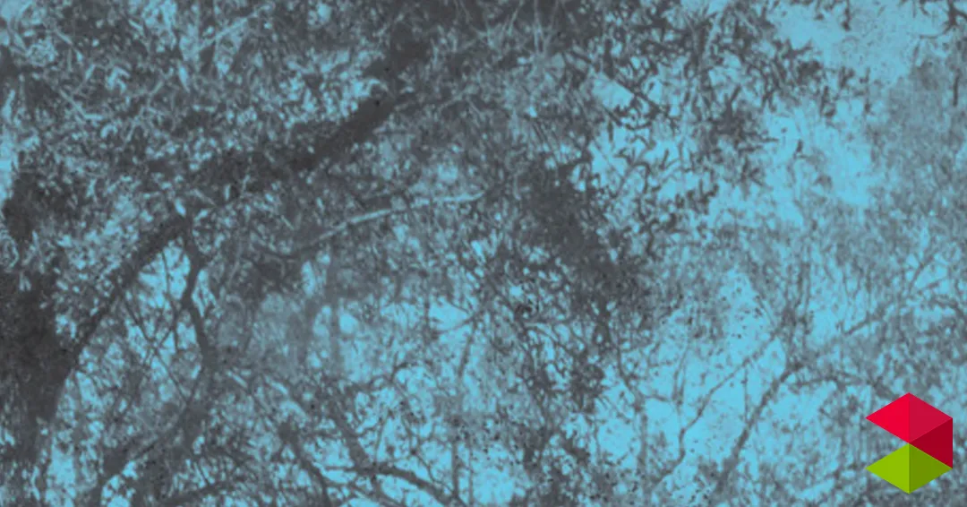 Eventos Cantabria Yayo Herrero presenta "Metamorfosis Una revolución antropológica"