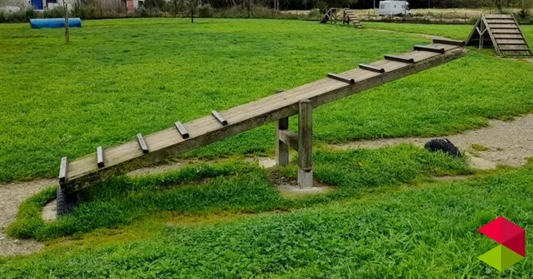 Camargo realiza trabajos de mantenimiento en los elementos de agilidad del parque canino