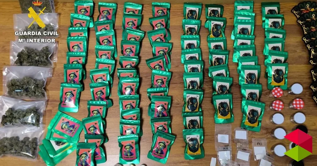 Noticias castro Urdiales Aroma a marihuana en Castro: 5,5 kilos “decorativos” incautados