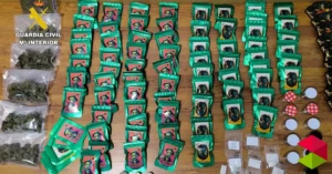 Noticias castro Urdiales Aroma a marihuana en Castro: 5,5 kilos “decorativos” incautados