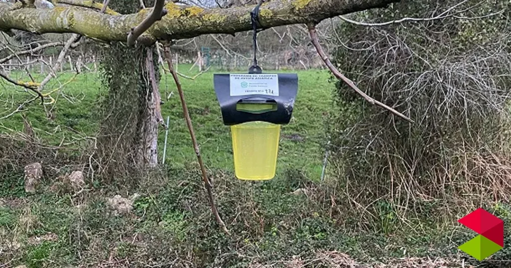 Noticias Castro urdiales Campaña de Trampeo de la avispa asiática reina Castro Urdiales 2026