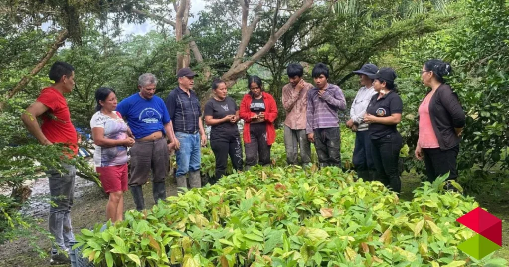 Noticias Reinosa El Ayuntamiento y la Fundación Pacaso & Pacaso lanzan un programa de voluntariado en Ecuador