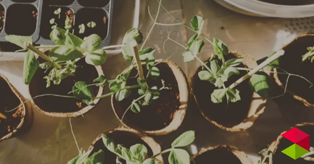 eventos Camargo Encuentro de hortelanos Camargo 2026