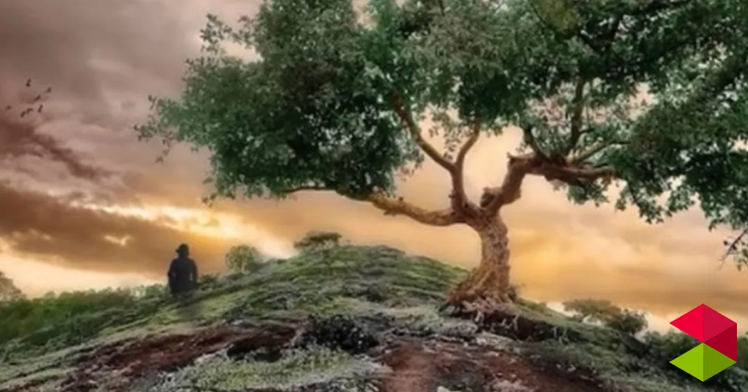 Eventos Cantabria Curso de fotografía de Camargo