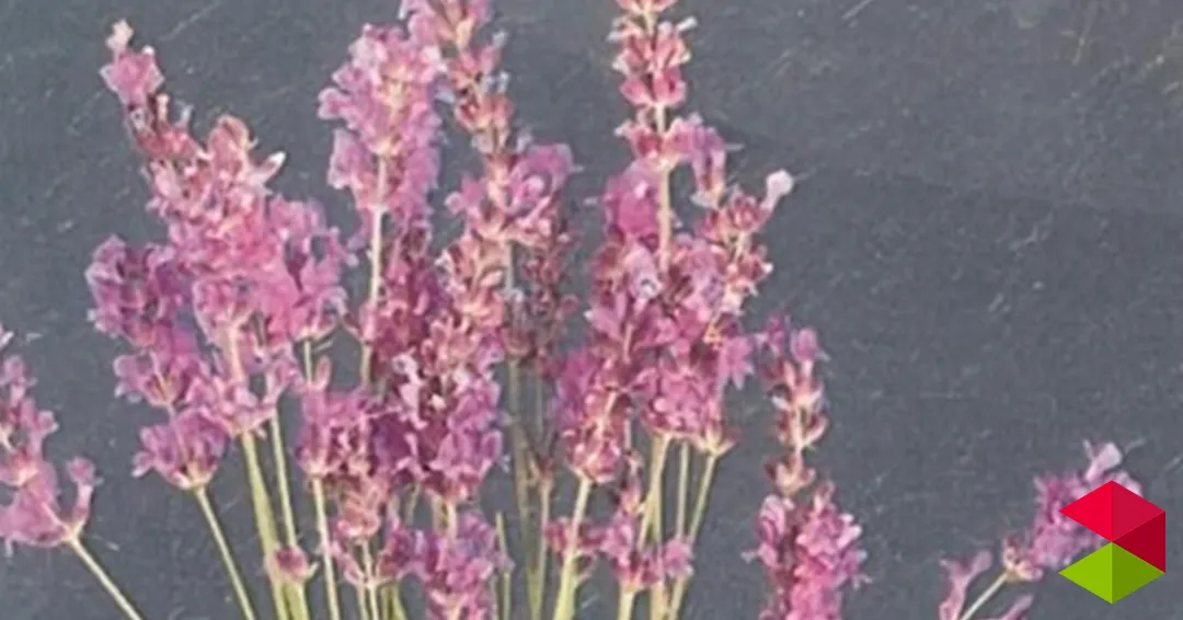 Eventos Valderredible Taller sacos de semillas en Valderredible