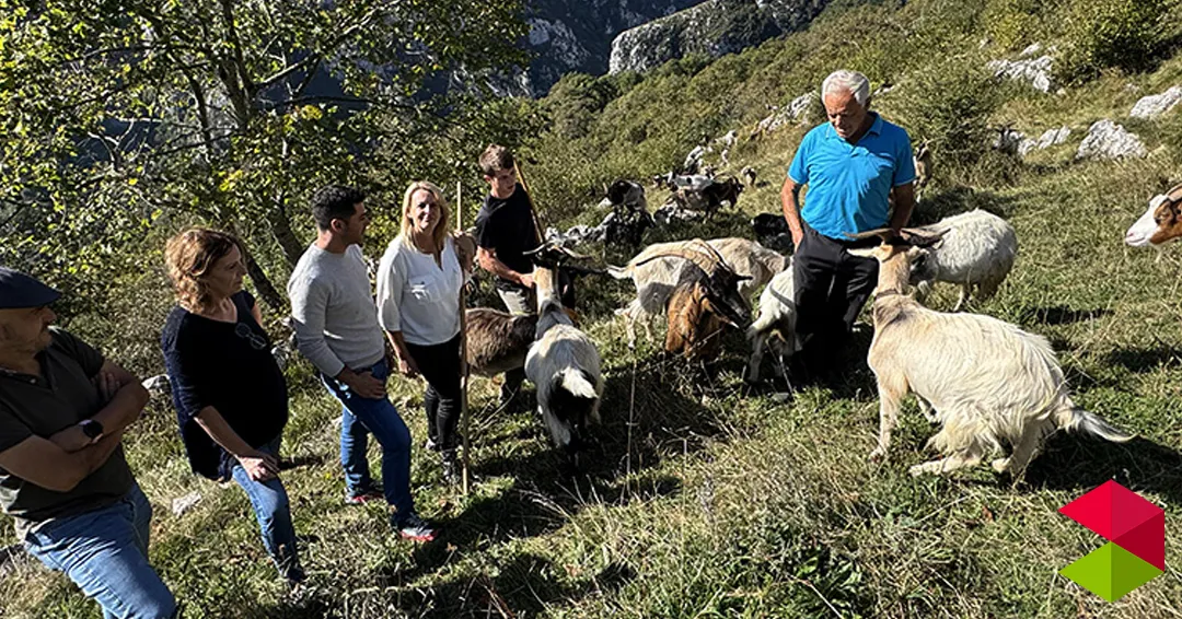 El Gobierno de Cantabria inicia el pago de las ayudas a la ganadería sostenible de ovino y caprino