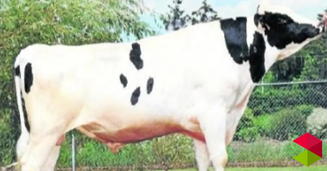 Programa IV Jornada cultural “Aires de la Montaña” Solórzano 2026