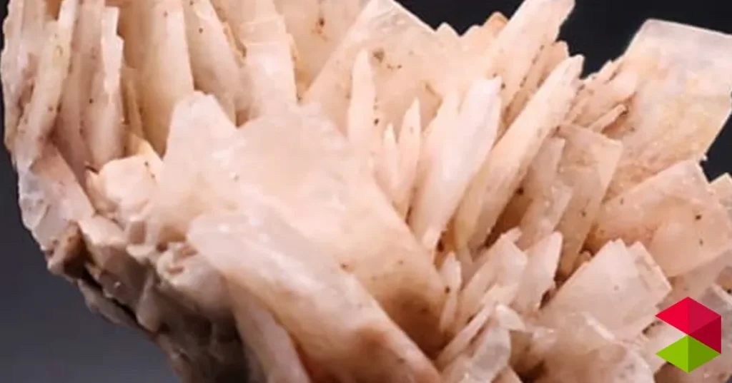 Programa VIIII Feria de minerales y fósiles Torrelavega 2026