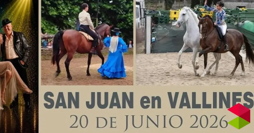 Programa San Juan en Vallines 2026
