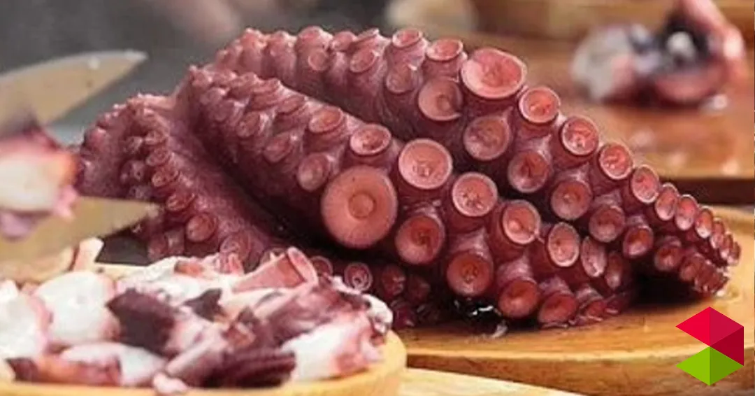 Programa feria de gastronomía Santander 2026