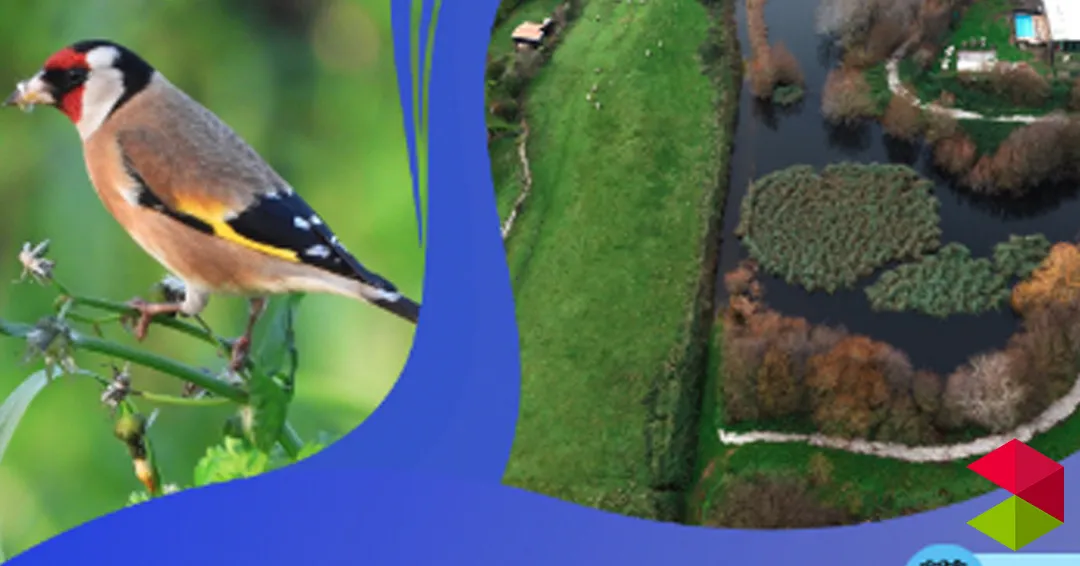 Eventos Santander Paseo guiado para celebrar el Día de las Aves